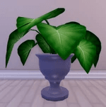 diamond beach summer leaf plant