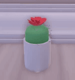 cactus cup