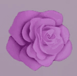 Paper Rose