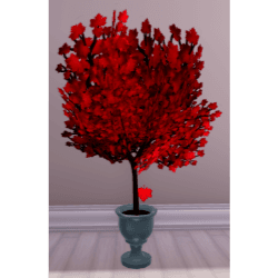 Changing Seasons Tree