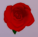 Elegant Rose Decor / Handle