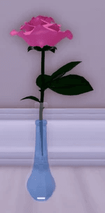 Rose from the Garden