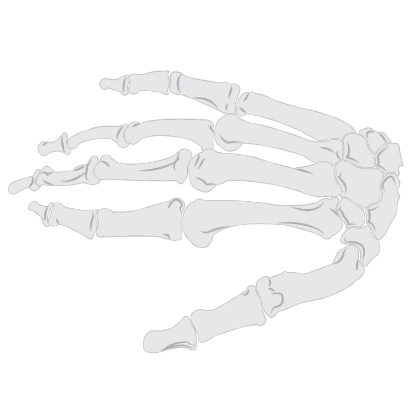 Undertaker's Hands
