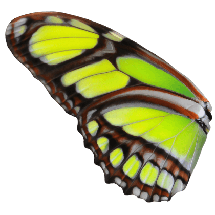 Glow Butterfly