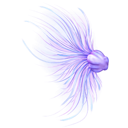 Jellyfish Princess