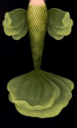 Moss Blanket Mermaid Potion (Rare)