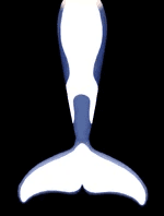 Frostbite Orca Mermaid Potion (Legendary)
