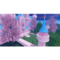 Castle Backyard