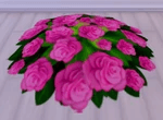 Lush Rose Bushy Shrub / Rug