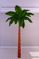 Palm Tree