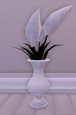 peace lily flowers plant