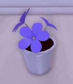 special little pot of flowers