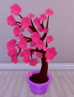 Cherry Blossom Tree