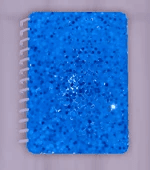 Sequin Notebook