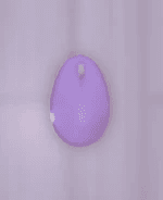 computer mouse