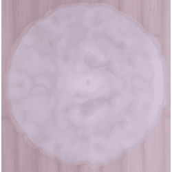Softest Fluffy Rug