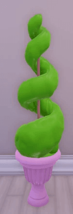 castle gardens spiral topiary lollipop plant