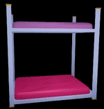 Summer Camp Friends Bunk Beds