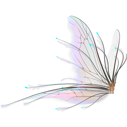 Forest Fairy